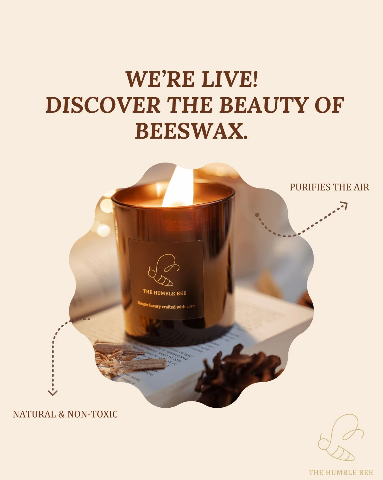 Изпълнение на кампанията