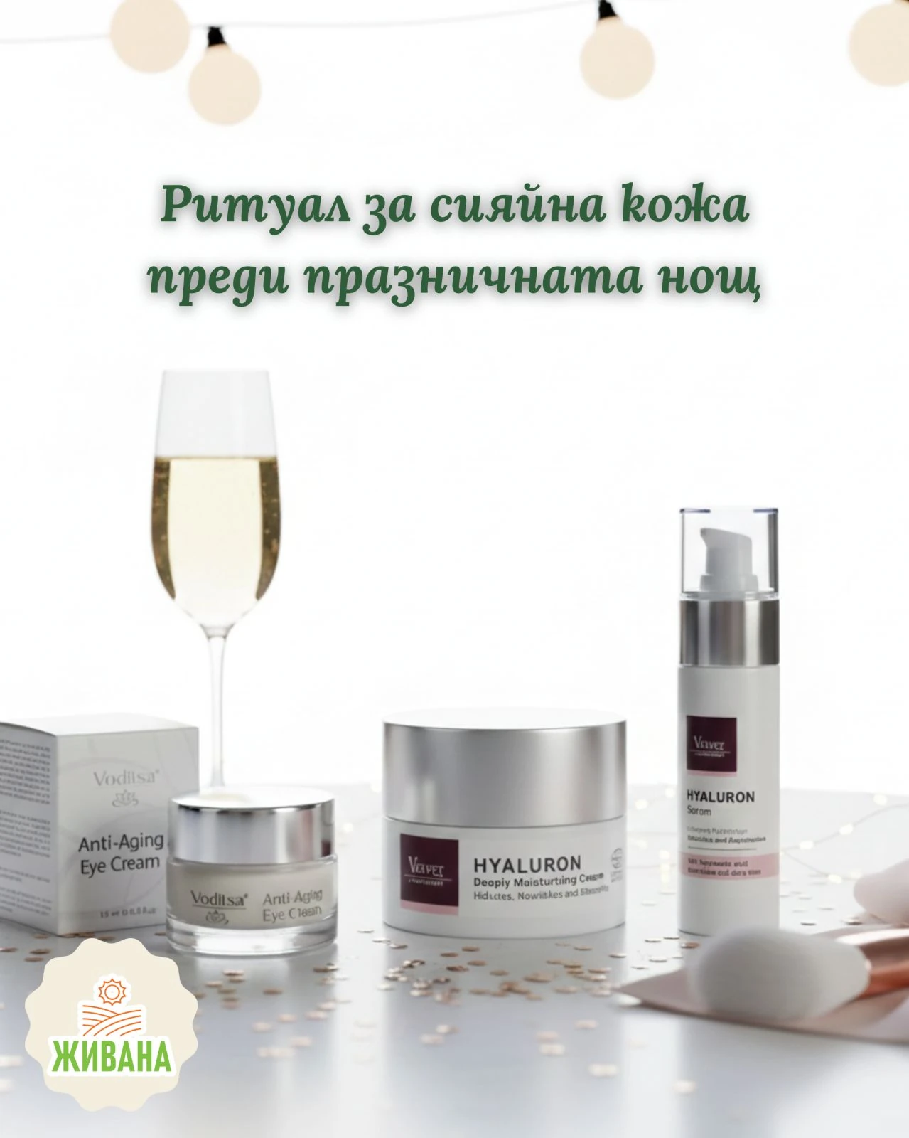 Резултати за Zhivana